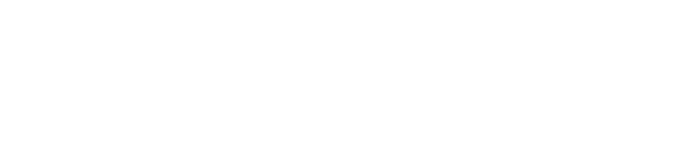 PowerVoy